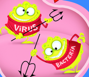 virus bacterie